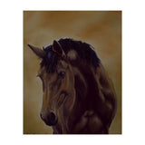 Astonishment (Print Only) thumbnail