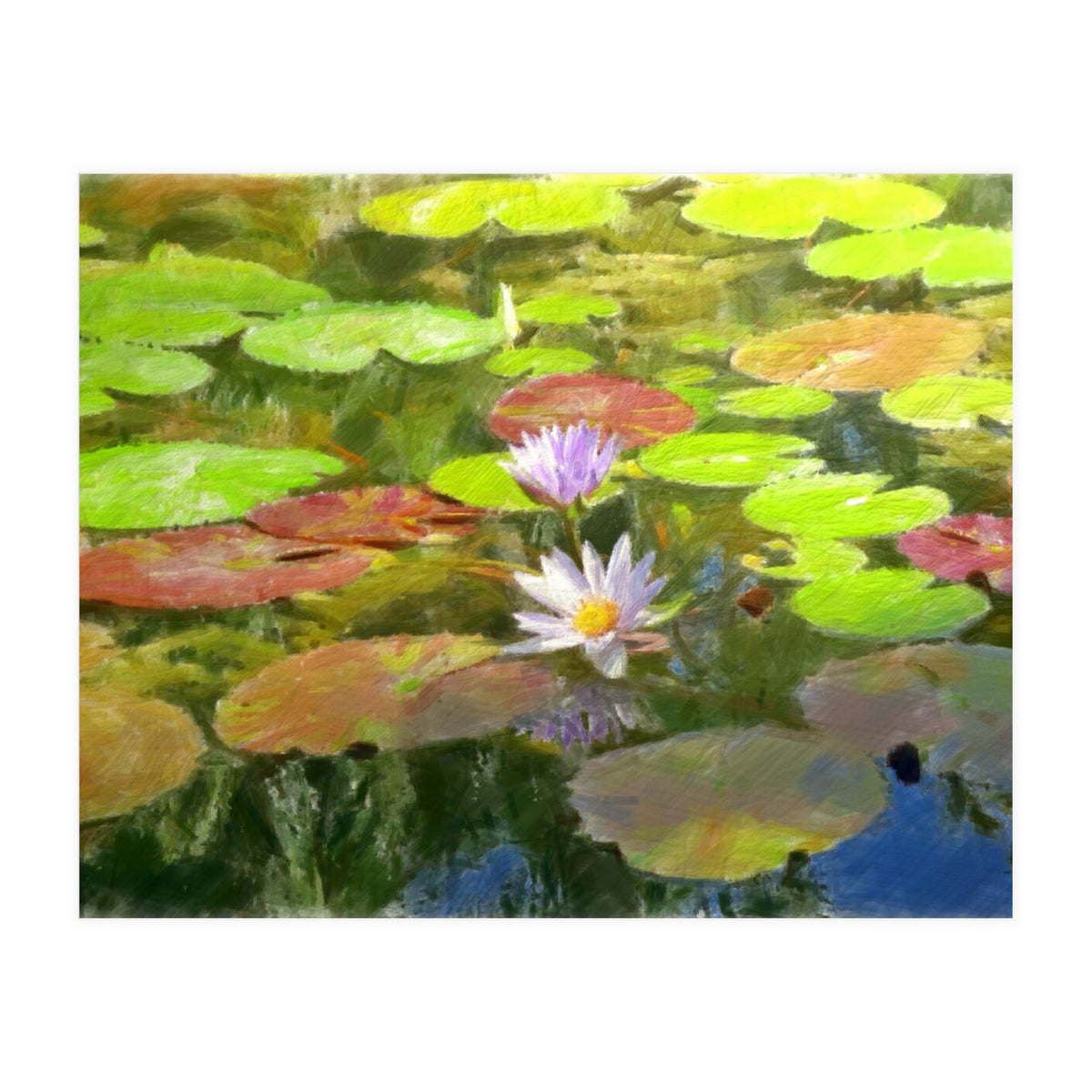 Floating in the water (Print Only)