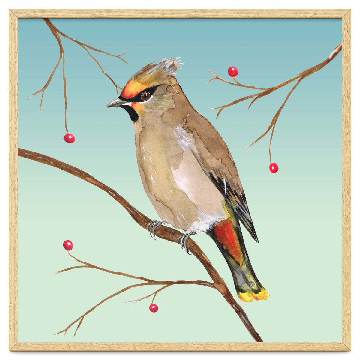 Bohemian waxwing