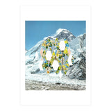 Mountain Flower (Print Only) thumbnail