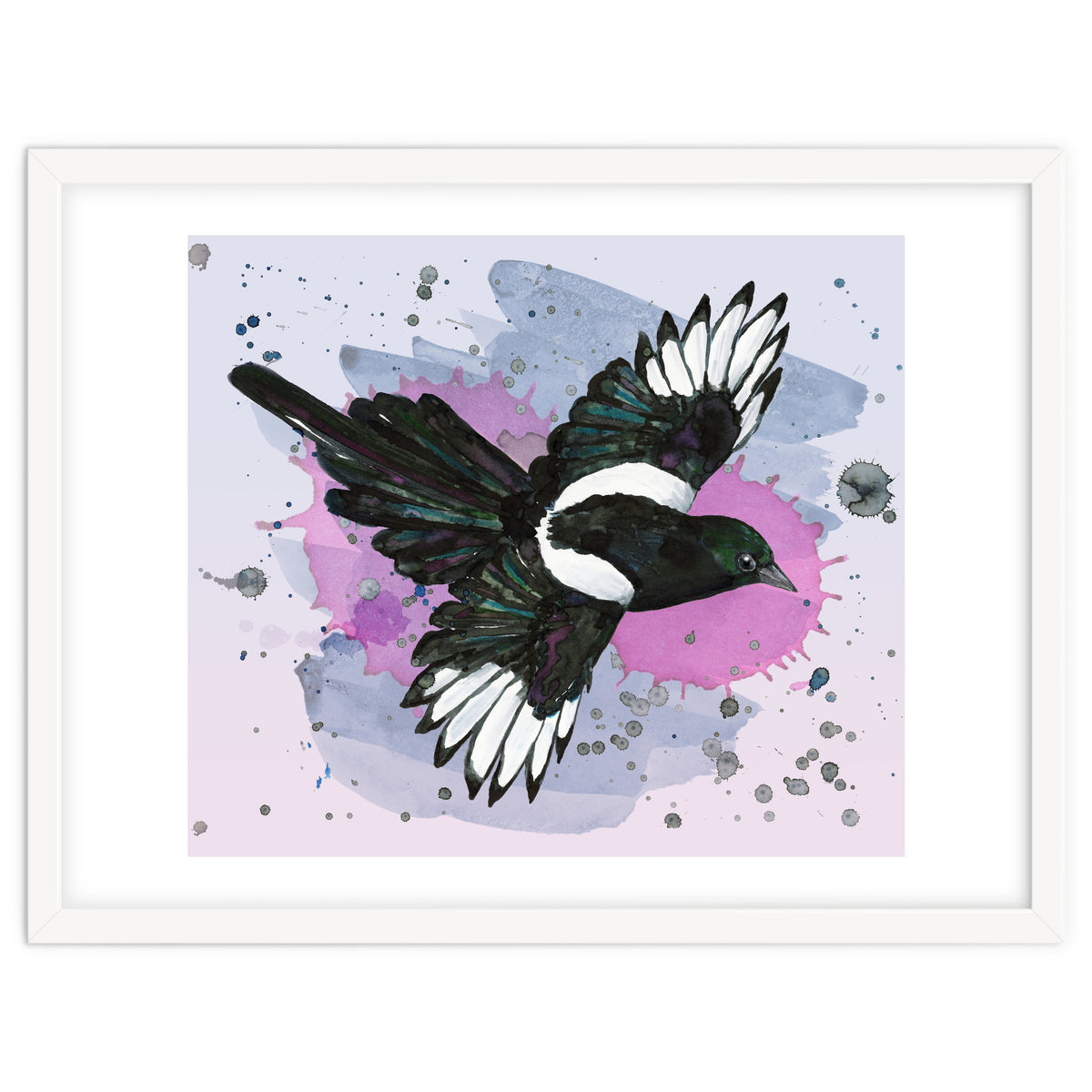A watercolor drawing of a flying magpie