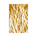 Desert Colours Collection 1 (Print Only) thumbnail