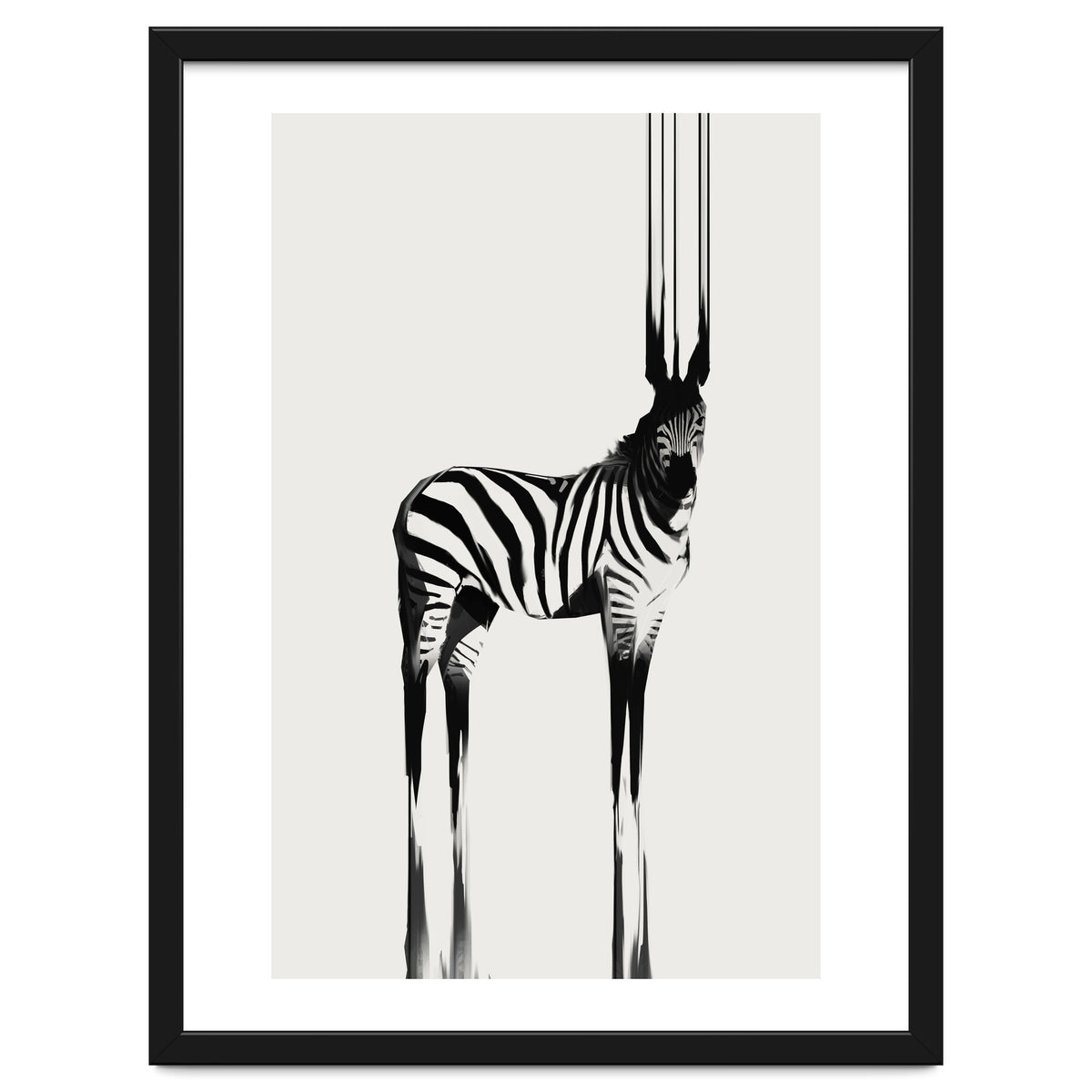 Zebra