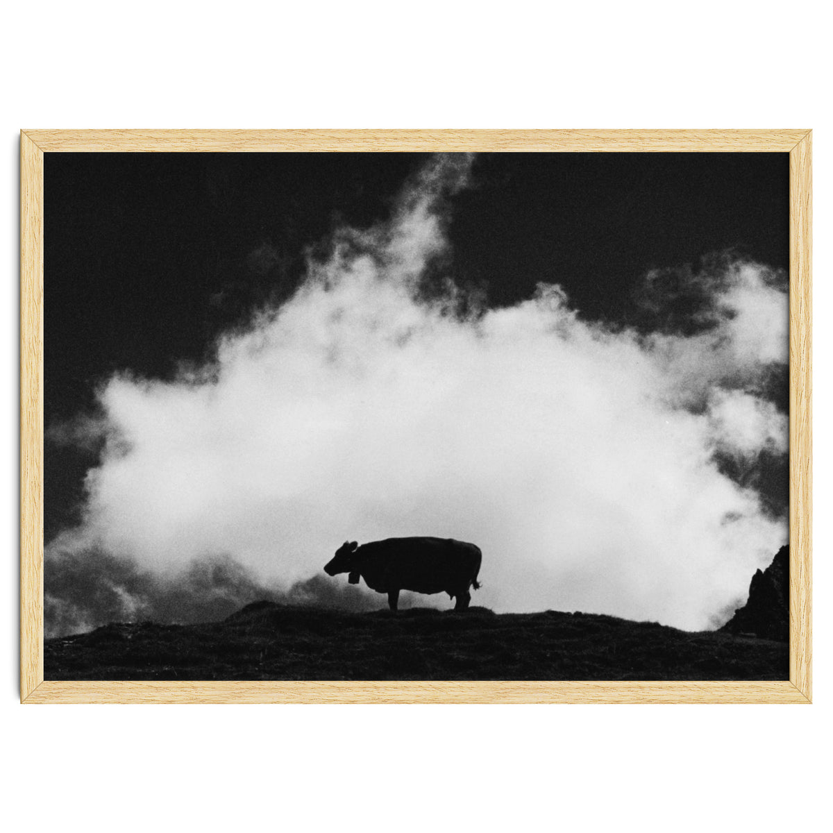 cow and cloud