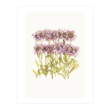 Cc Flower 02 (Print Only) thumbnail