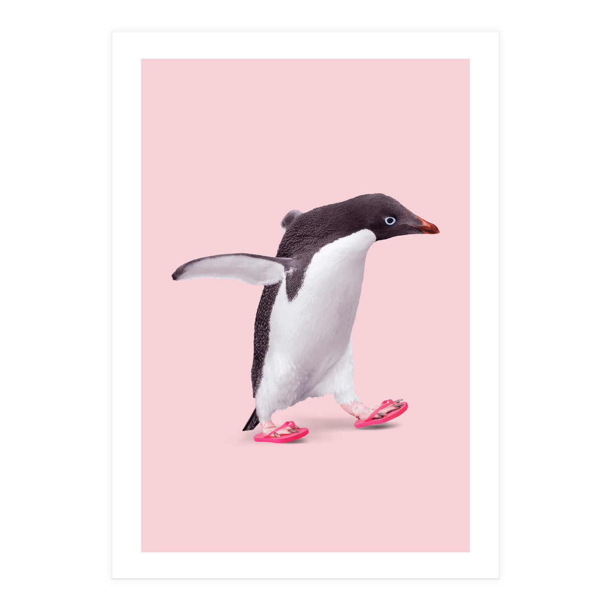 Flip Flop Penguin (Print Only)