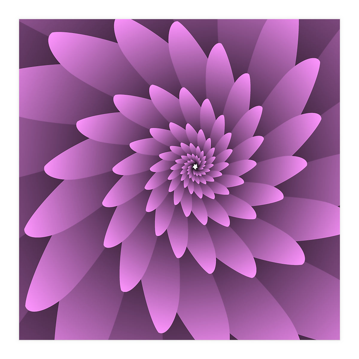 3 D Floral Modern Pink Art (Print Only)