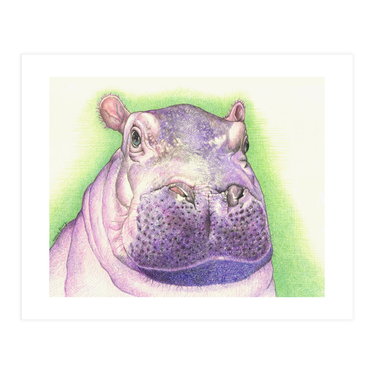Purple Hippo (Print Only)