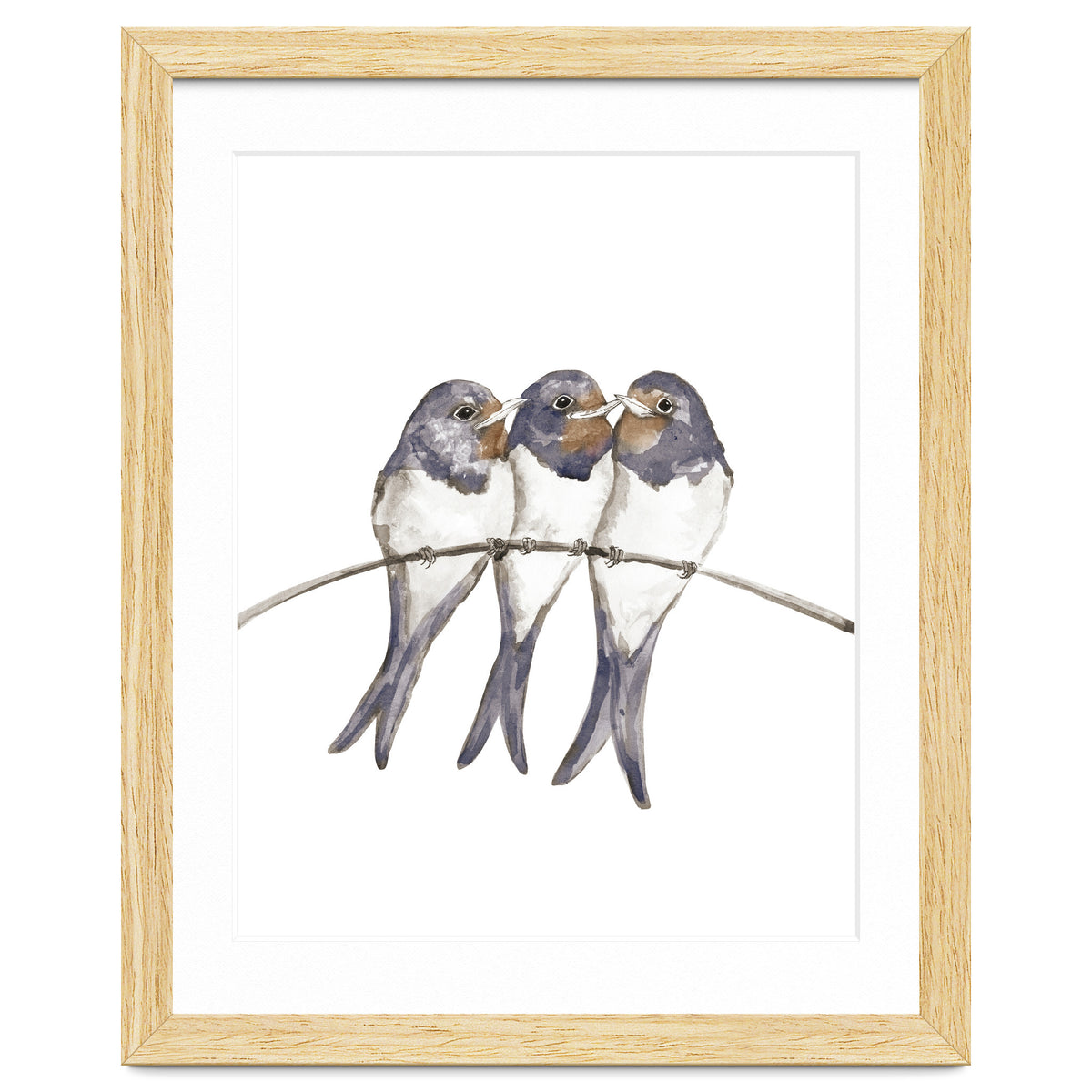 Three young swallows