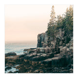 Saltwater Glow (Print Only) thumbnail