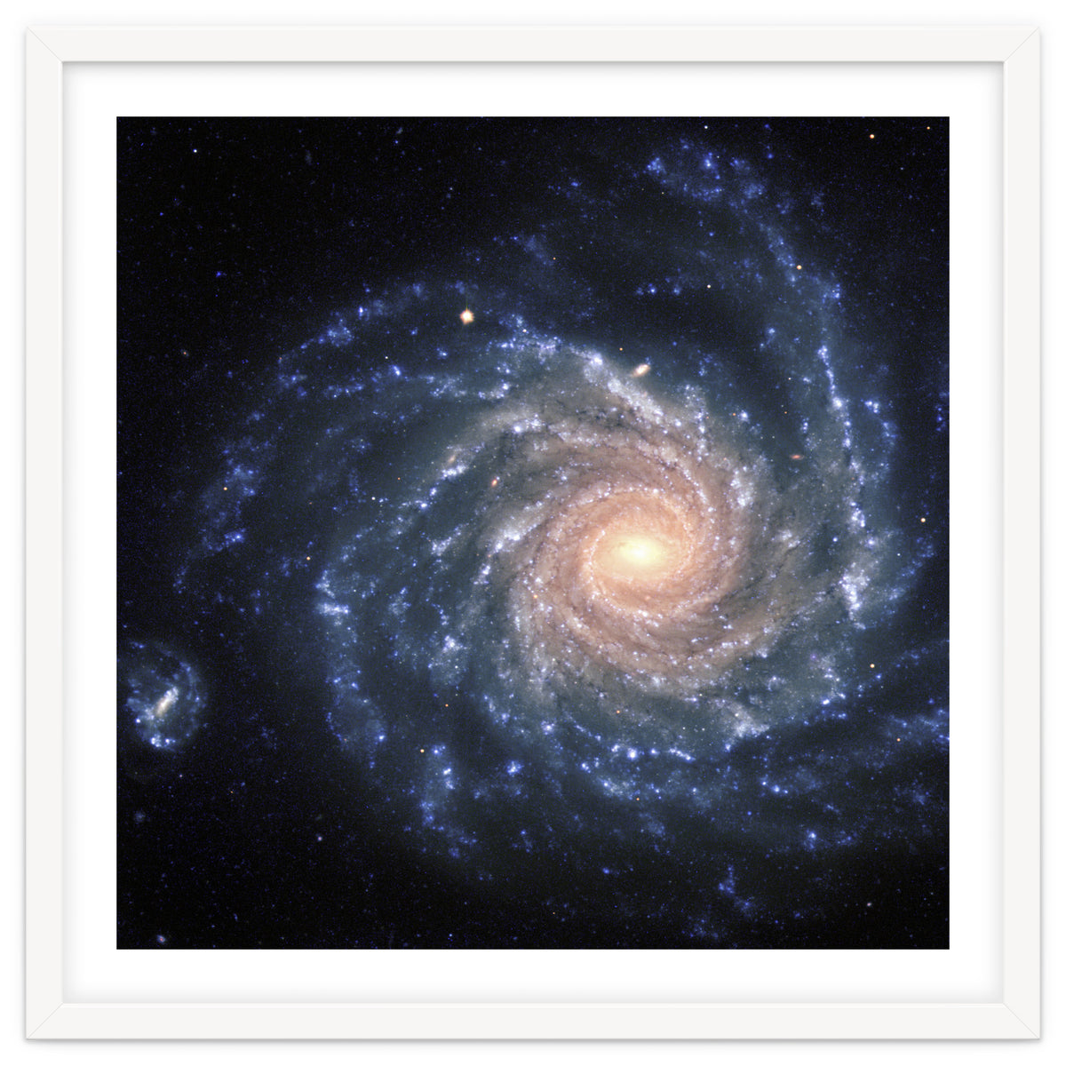 Spiral Galaxy NGC 1232
