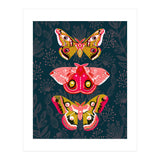 Lepidoptery Study No. 4 (Print Only) thumbnail
