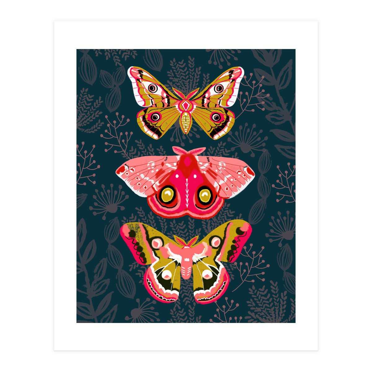 Lepidoptery Study No. 4 (Print Only)