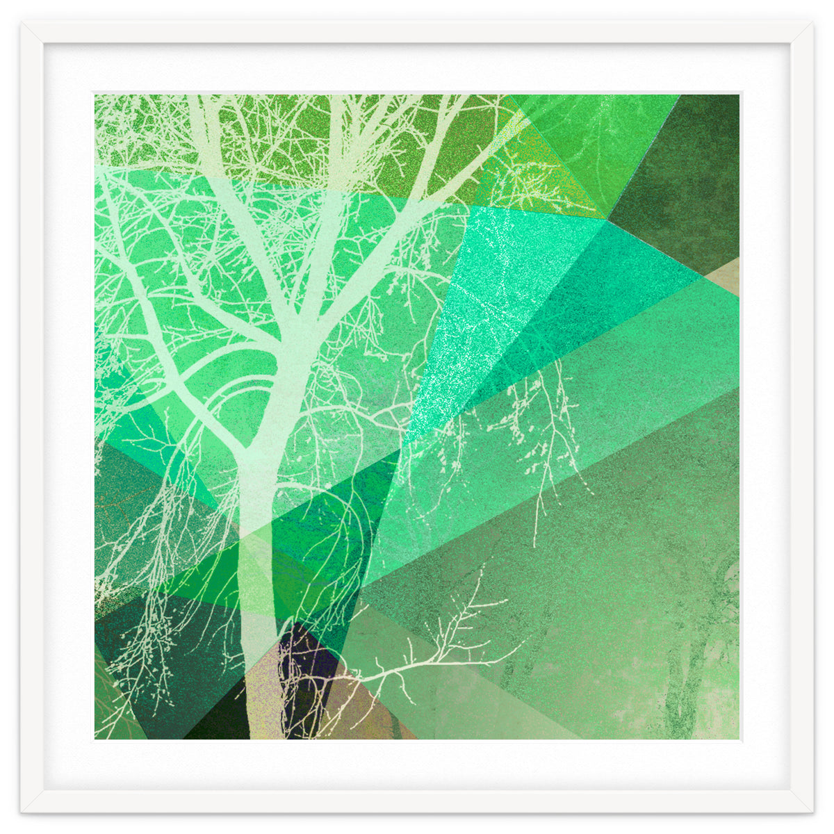 P22-B3 Trees And Triangles