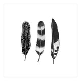 Dark Feather (Print Only) thumbnail