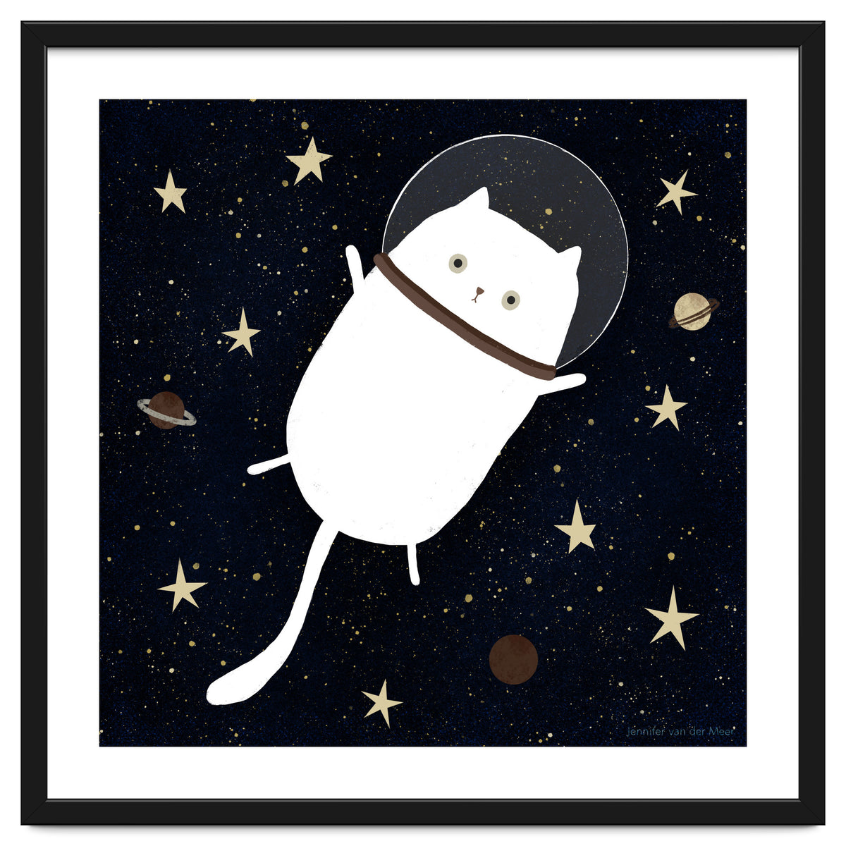 Cat 32: Cats in space!