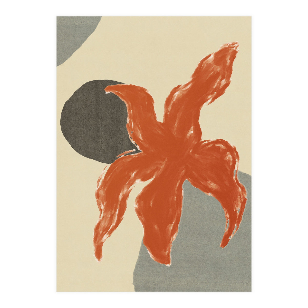 Wobbly Sea Star On Rocks \\ Abstract Composition (Print Only)