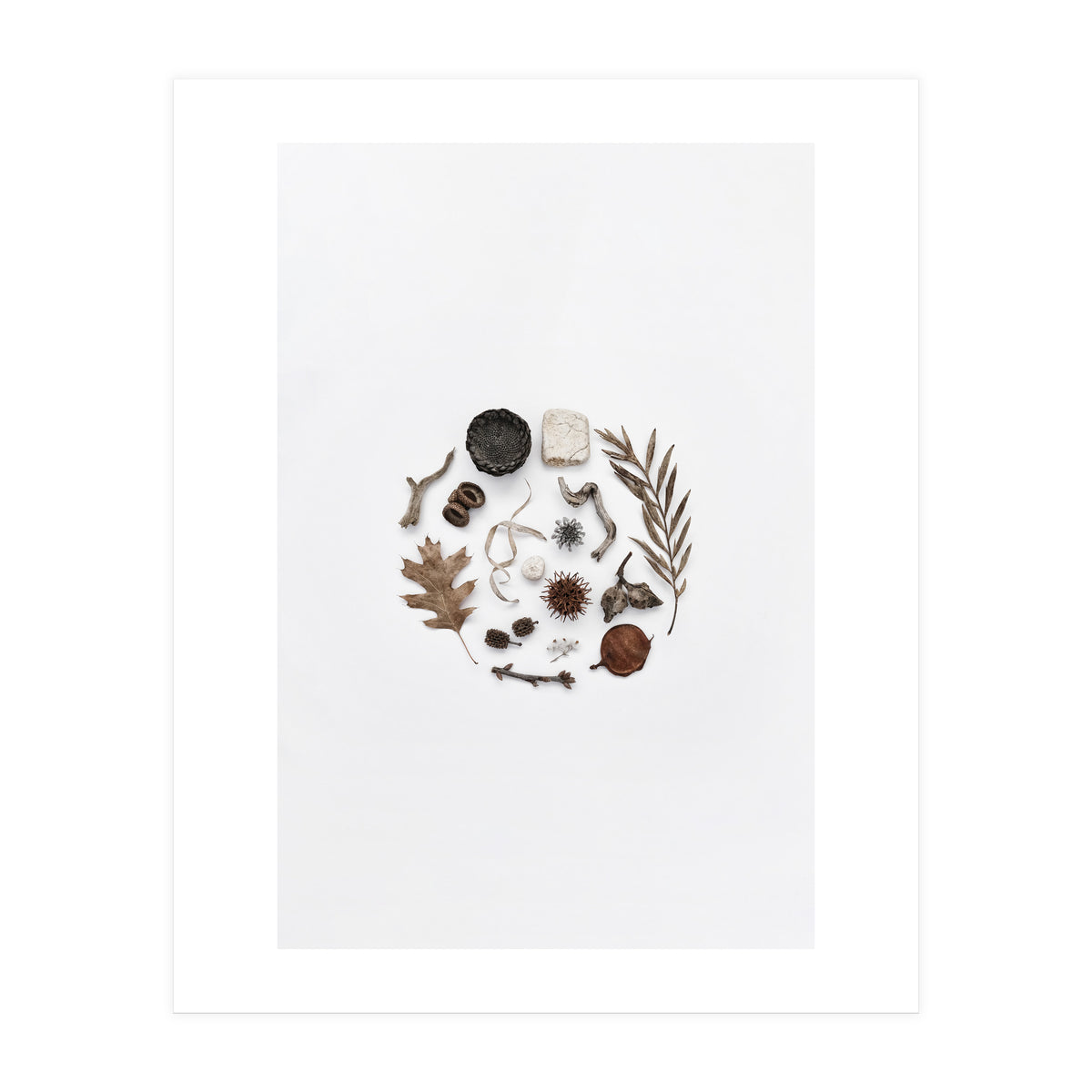 Treasures From Nature No. 2 (Print Only)