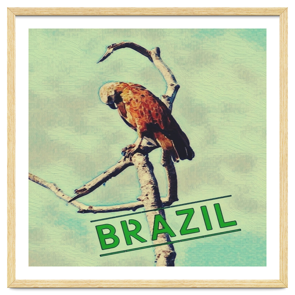 Eagle in Brazil