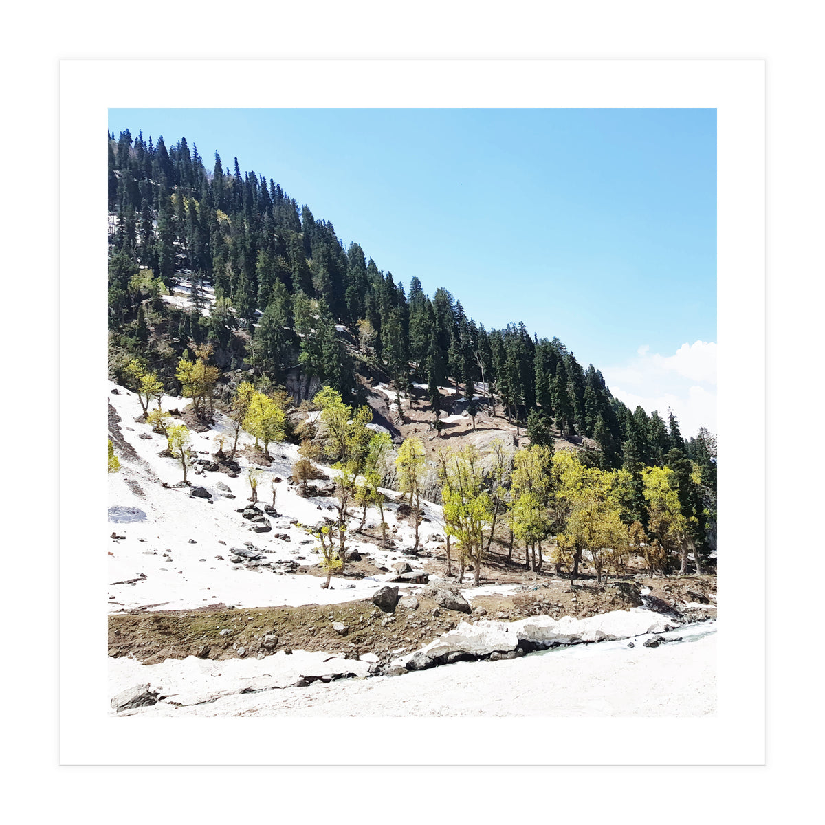 Kashmir V2 (Print Only)