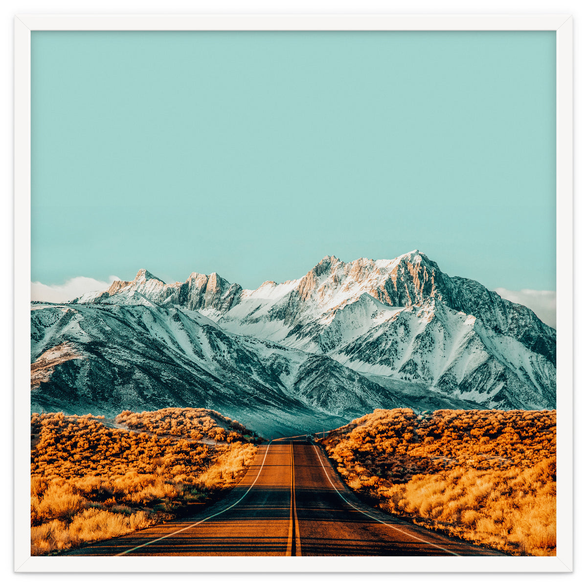 The Road Less Traveled