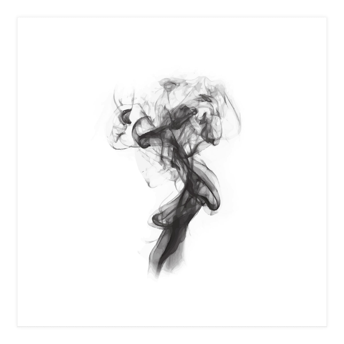 THE PORTRAIT OF A LADY (Print Only)