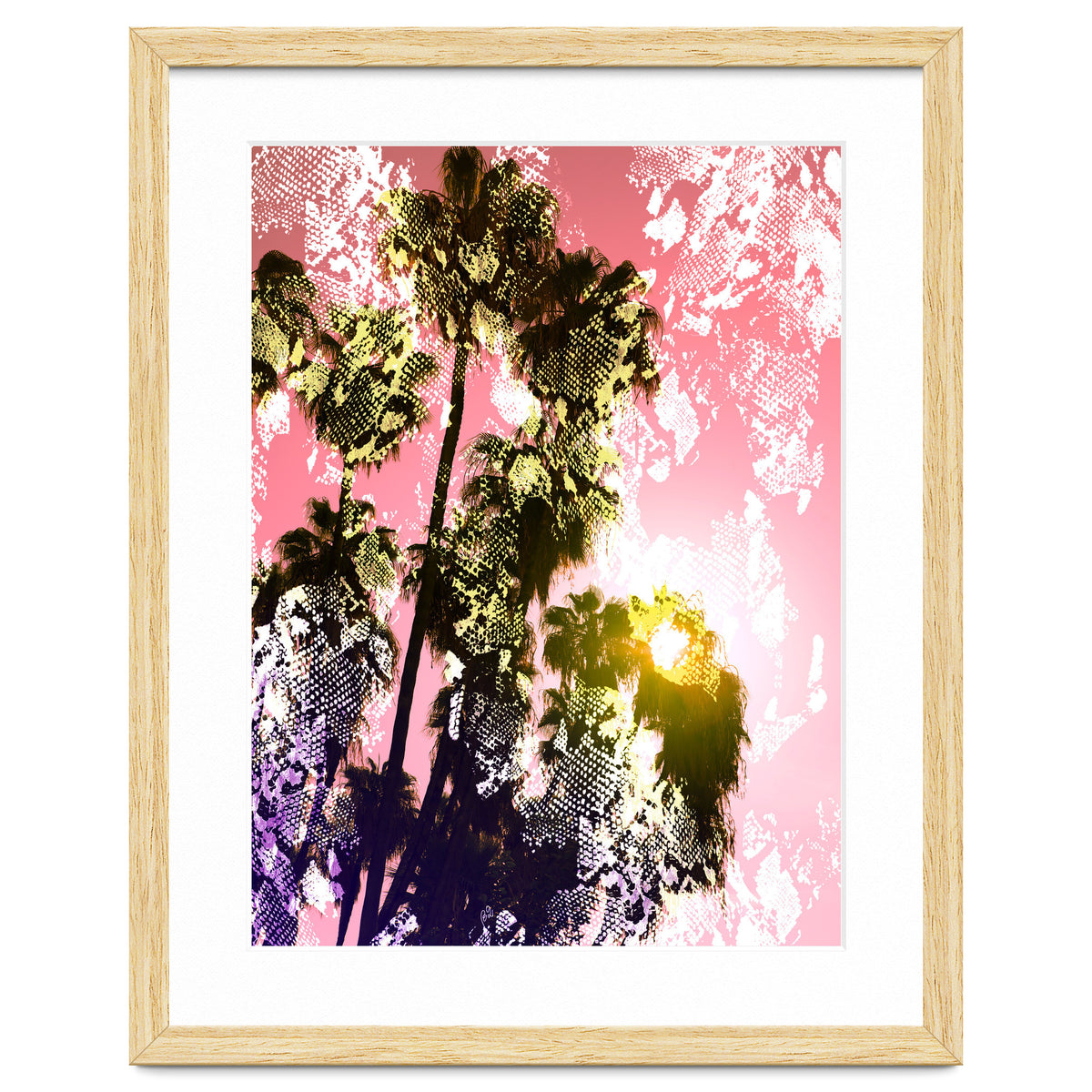 Snake sunset in paradise