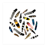 Feather Fusion  (Print Only) thumbnail
