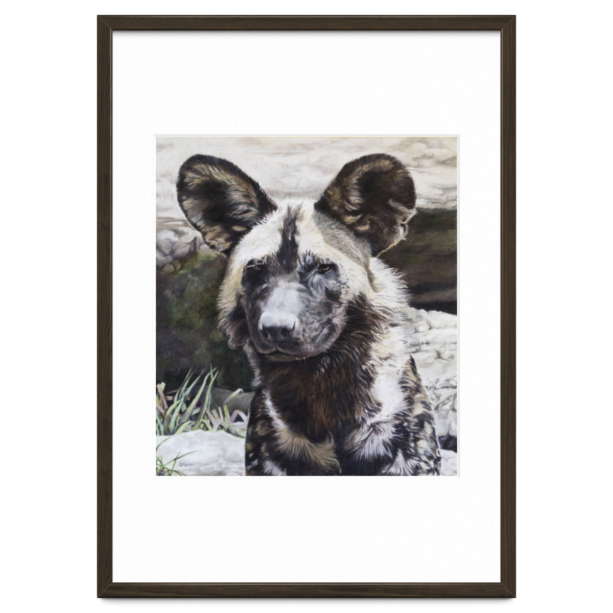 African Painted Dog II