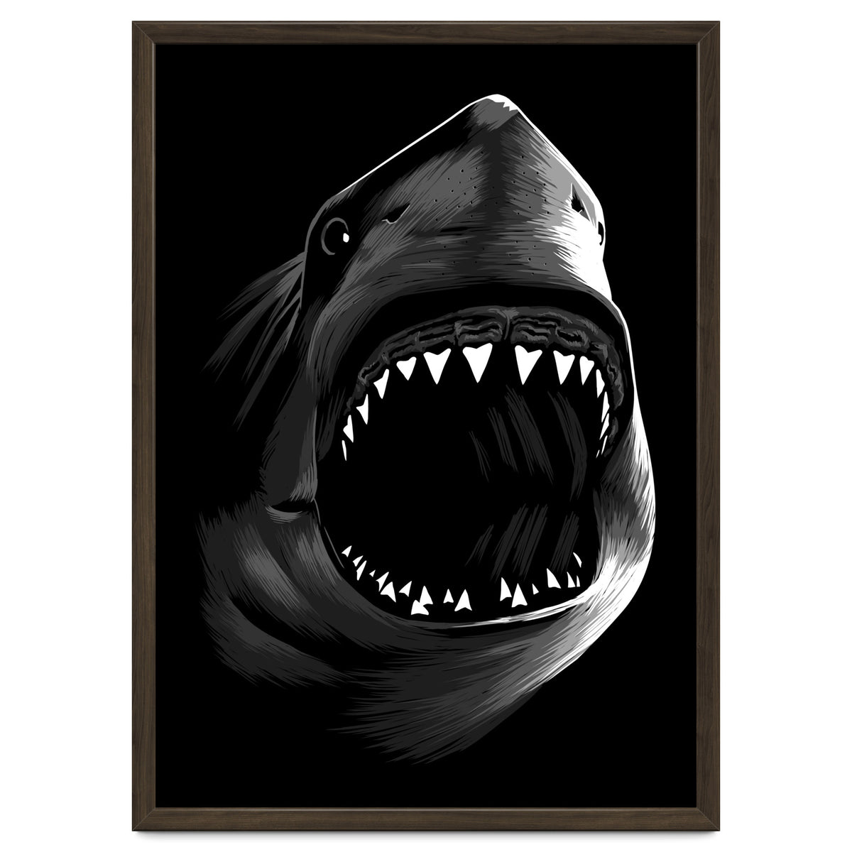 Megalodon