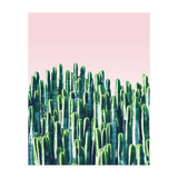 Cactus & Sunset II (Print Only) thumbnail