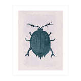 Beetle 2 (Print Only) thumbnail