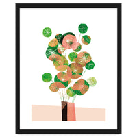 Pilea In Green And Coral