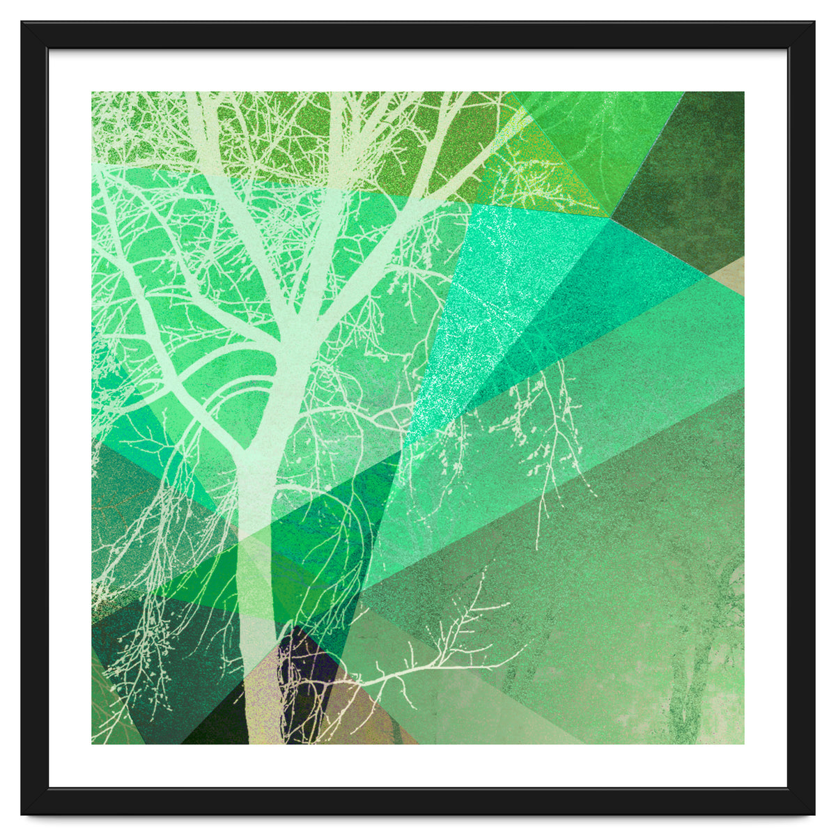 P22-B3 Trees And Triangles