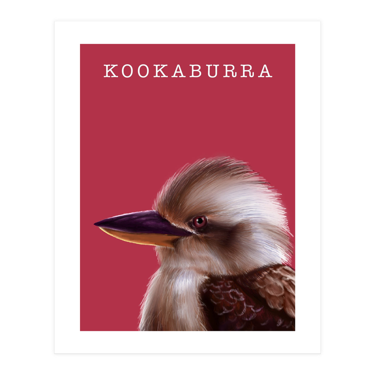 Kookaburra (Print Only)
