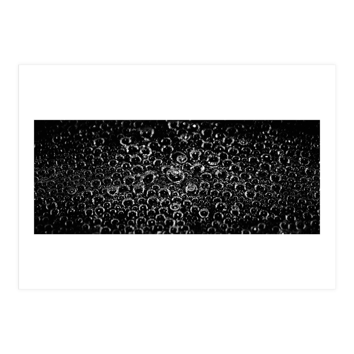 Bubbles (Print Only)