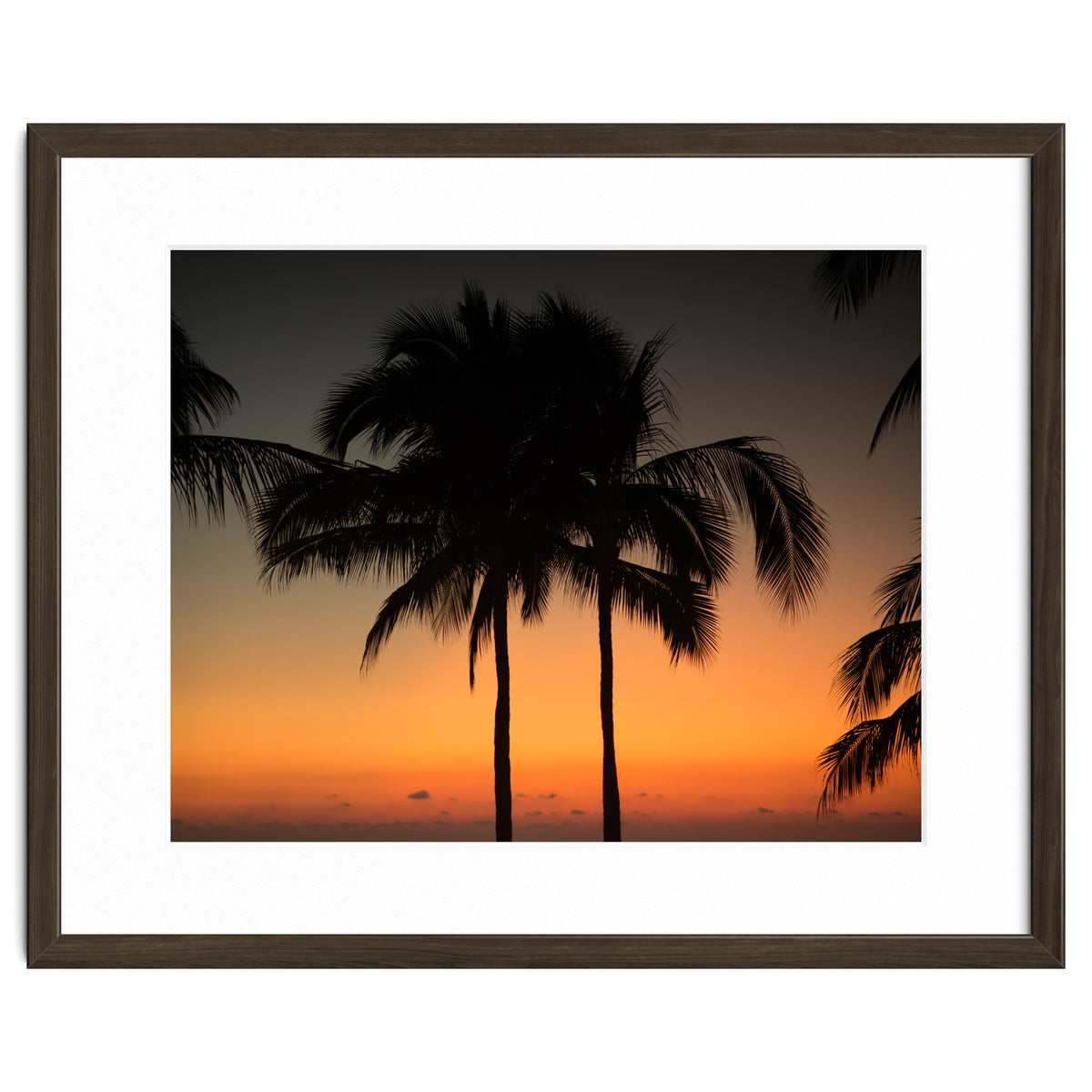 Mexico, November nights