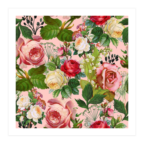 Vintage Botanical, Blush Floral Rose Illustration, Nature Plants Bohemian Painting, Royal Garden (Print Only)