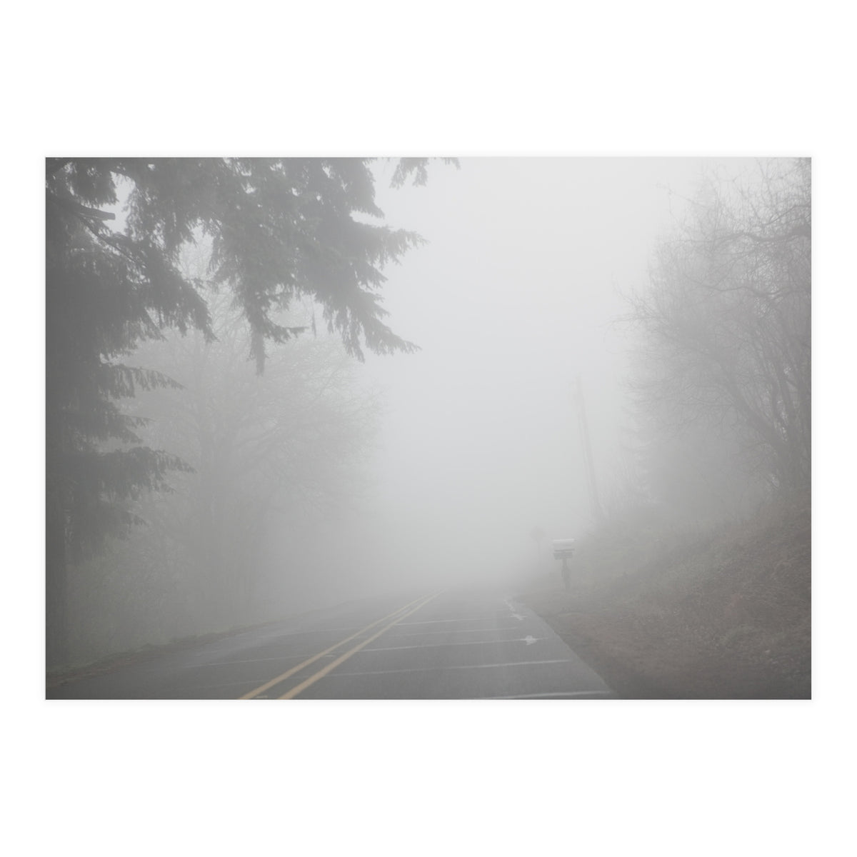 Missing Road (Print Only)