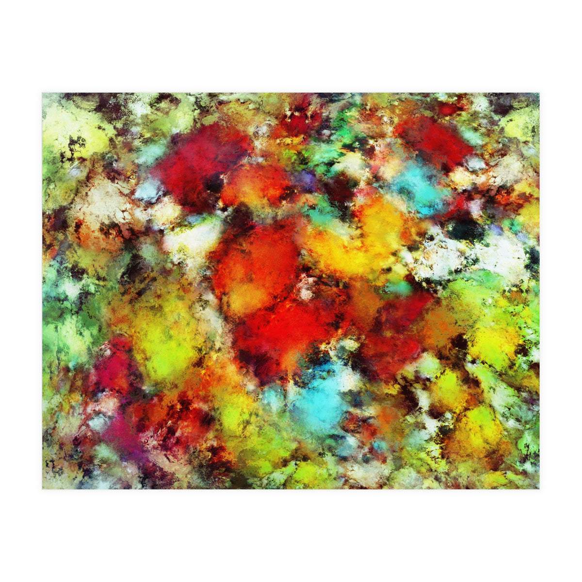 Expansion (Print Only)