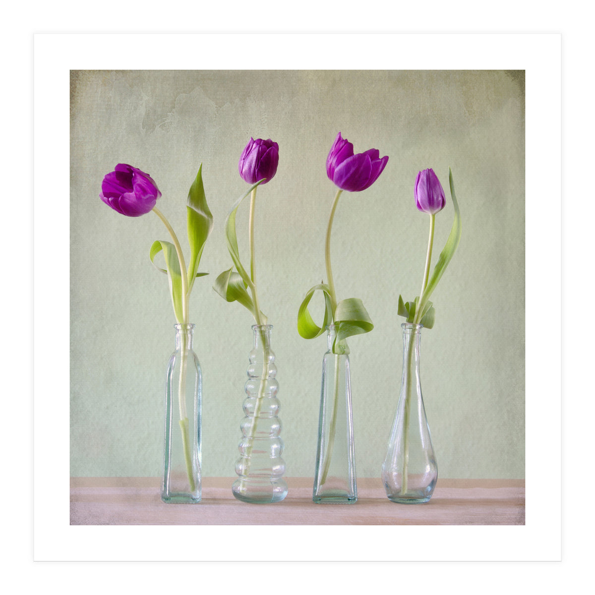 Tulips (Print Only)