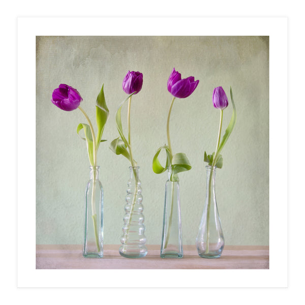 Tulips (Print Only)