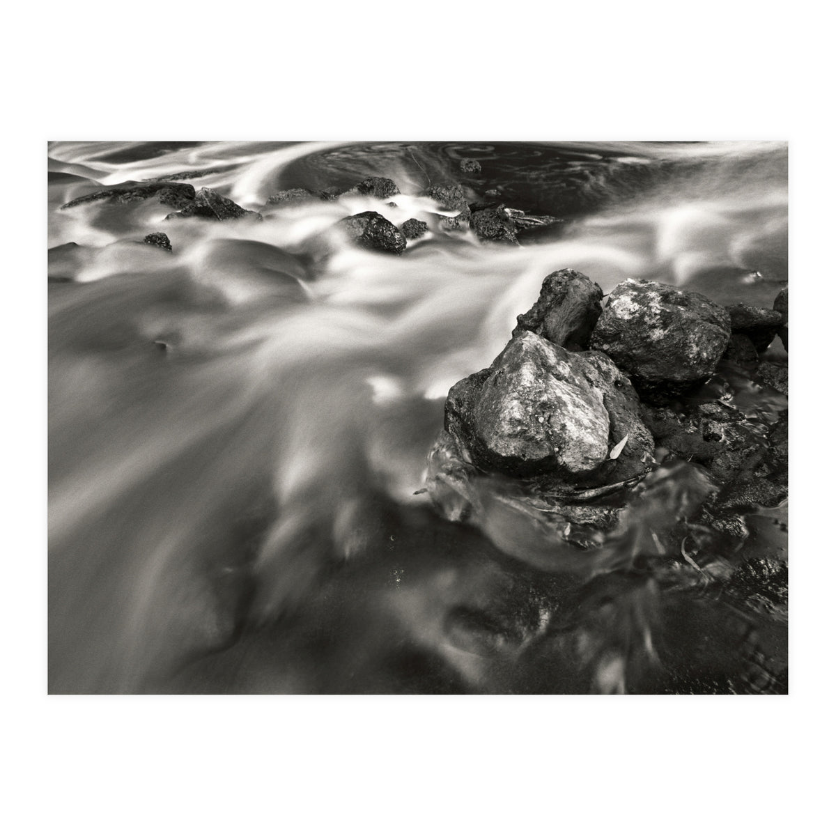 The Stream (Print Only)