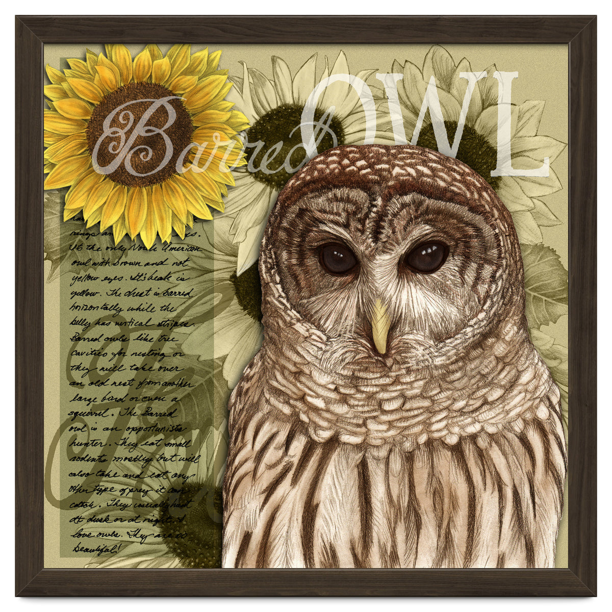 Sunflowers and Barred Owl