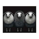 Fashion Sheep (Print Only) thumbnail