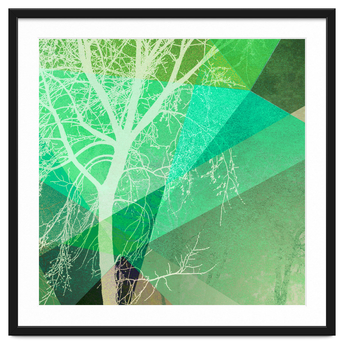 P22-B3 Trees And Triangles