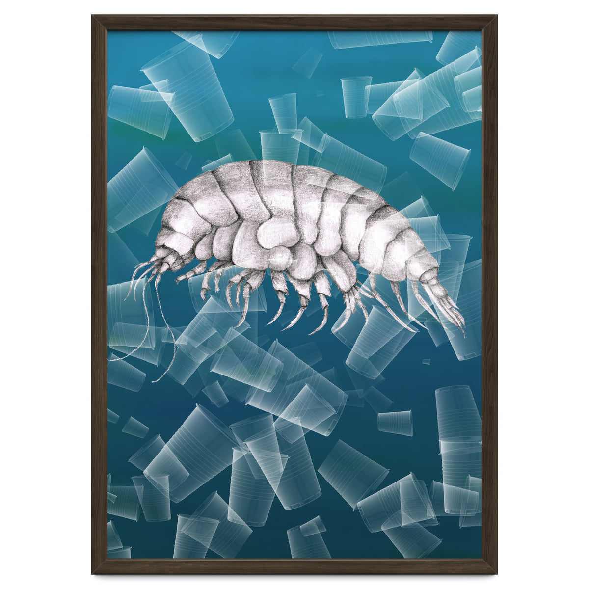 Eurythenes Plasticus