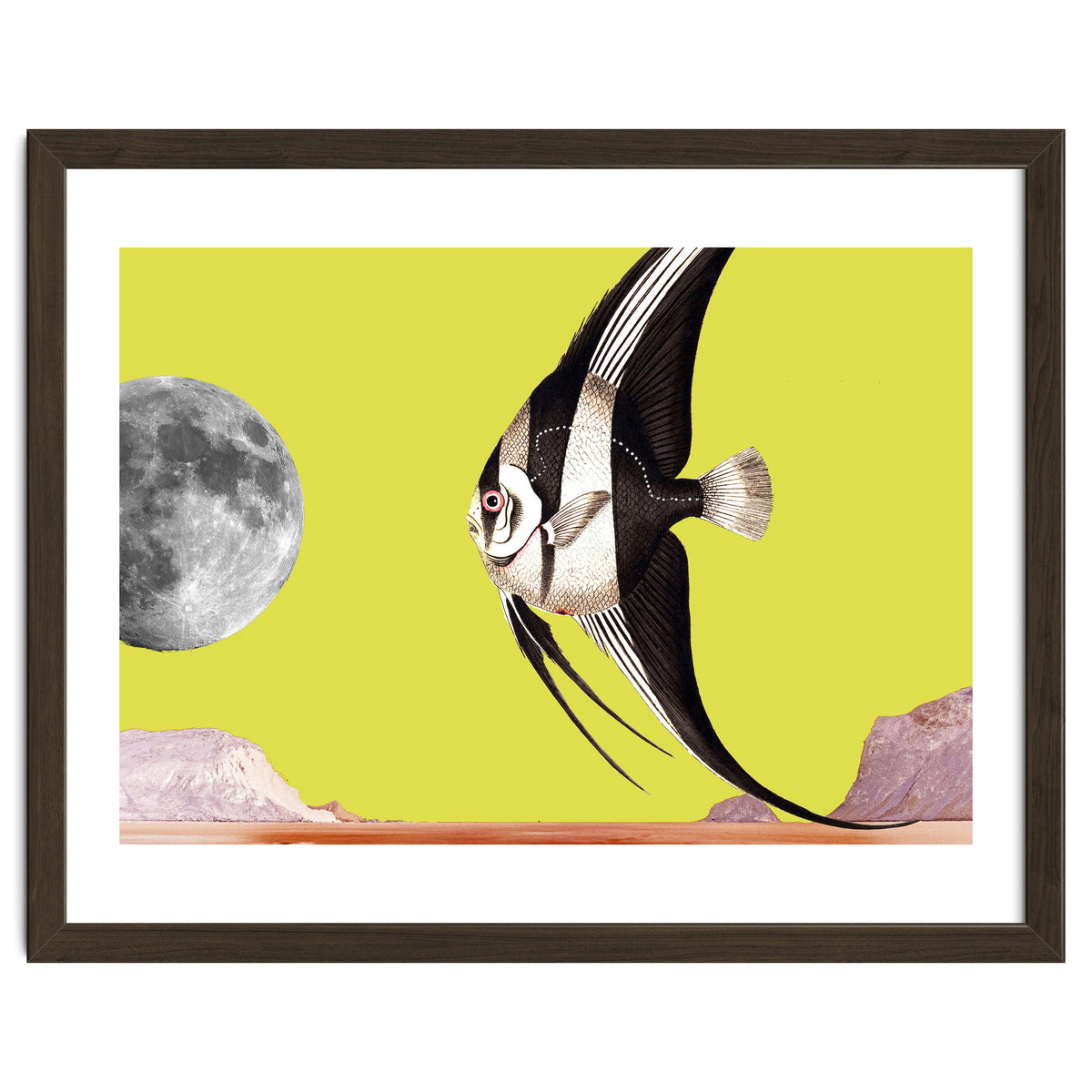 Plenty of fish in the sea yellow