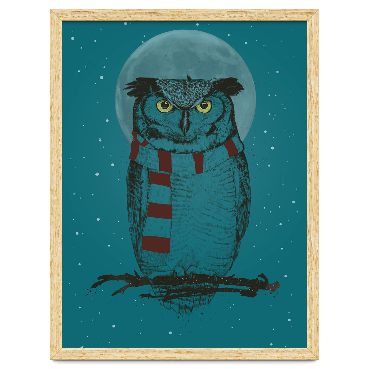 Winter Owl II