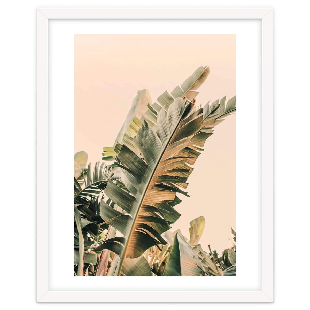 Growing Green Alicia Bock